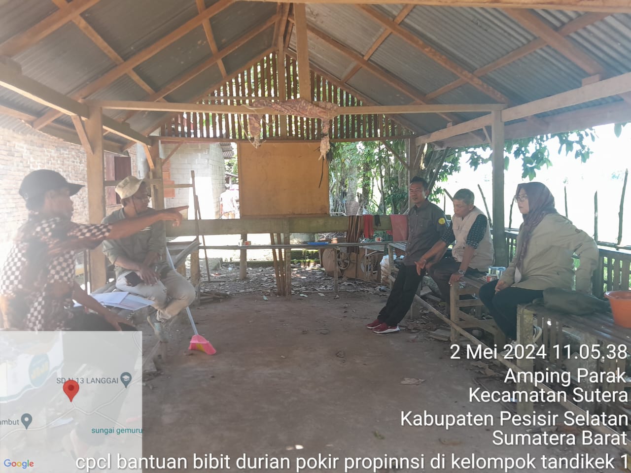 TPH - CPCL bantuan bibit durian pokir propinsi di kelompok tani tandikek kecamatan sutera