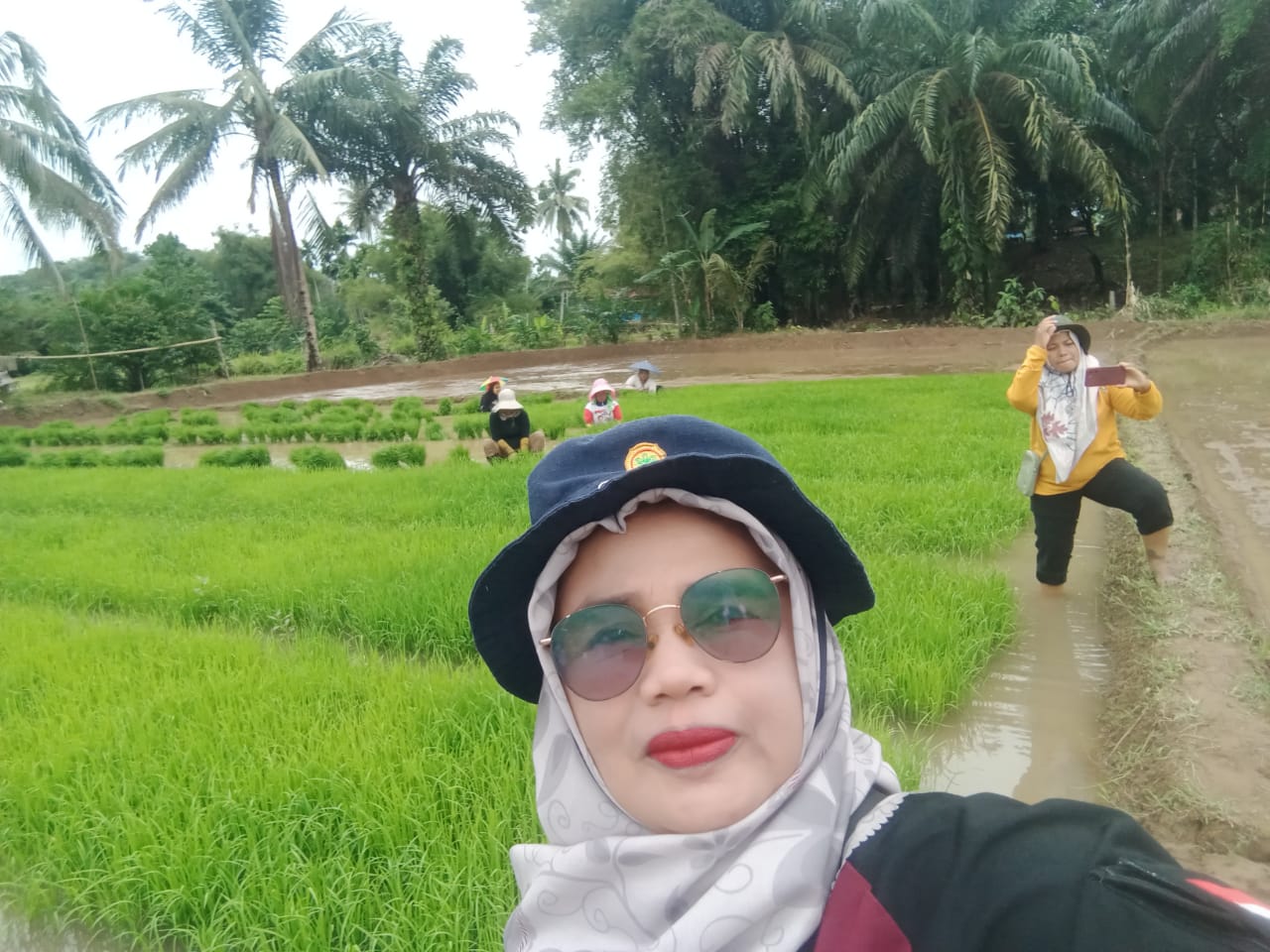 PECABUTAN BENIH DIPERSEMAIAN KELOMPOK TANI TANJUNG KALERU KECAMATAN RANAH AMPEK HULU TAPAN