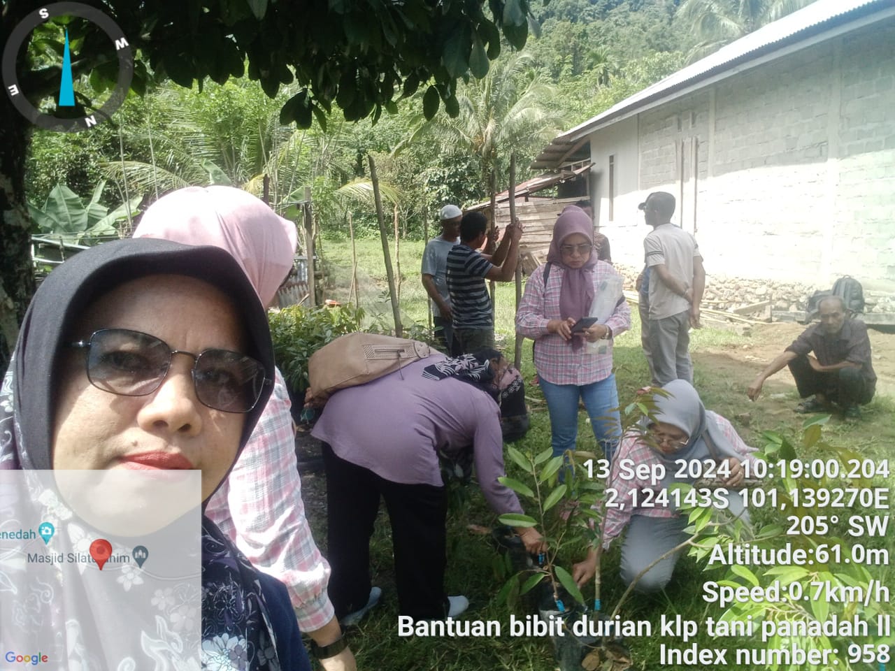 Bantuan Bibit Durian Musangking kelompok Tani Panadah 2