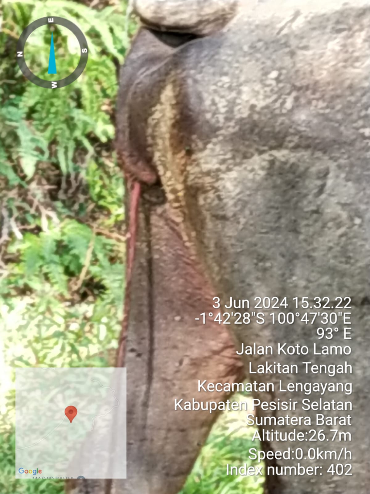 Retensi Plasenta Pada Kerbau di Air Kalam Lakitan Tengah