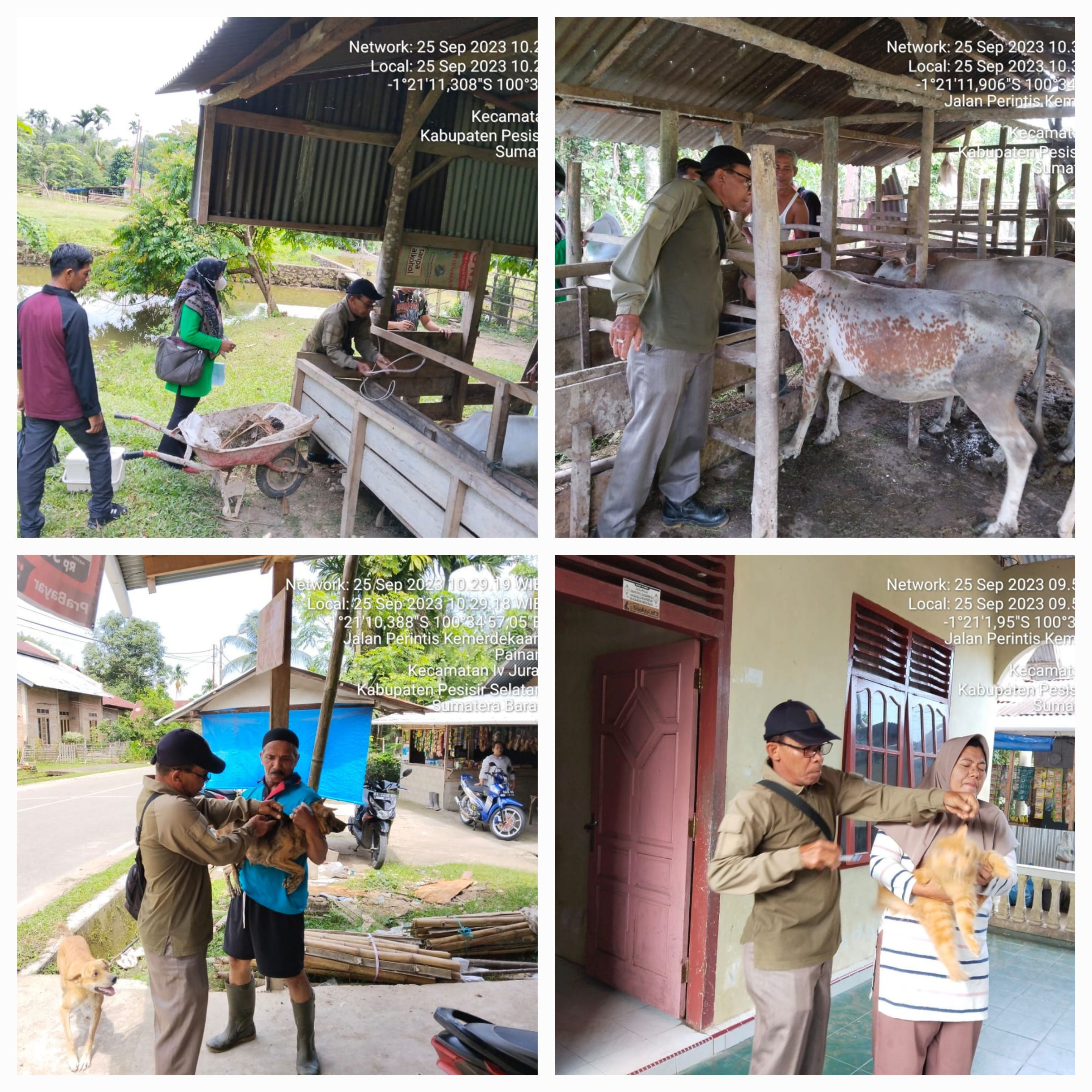 PELAKSANAAN VAKSINASI PMK DAN RABIES DI NAGARI PAINAN TIMUR KEC. IV JURAI