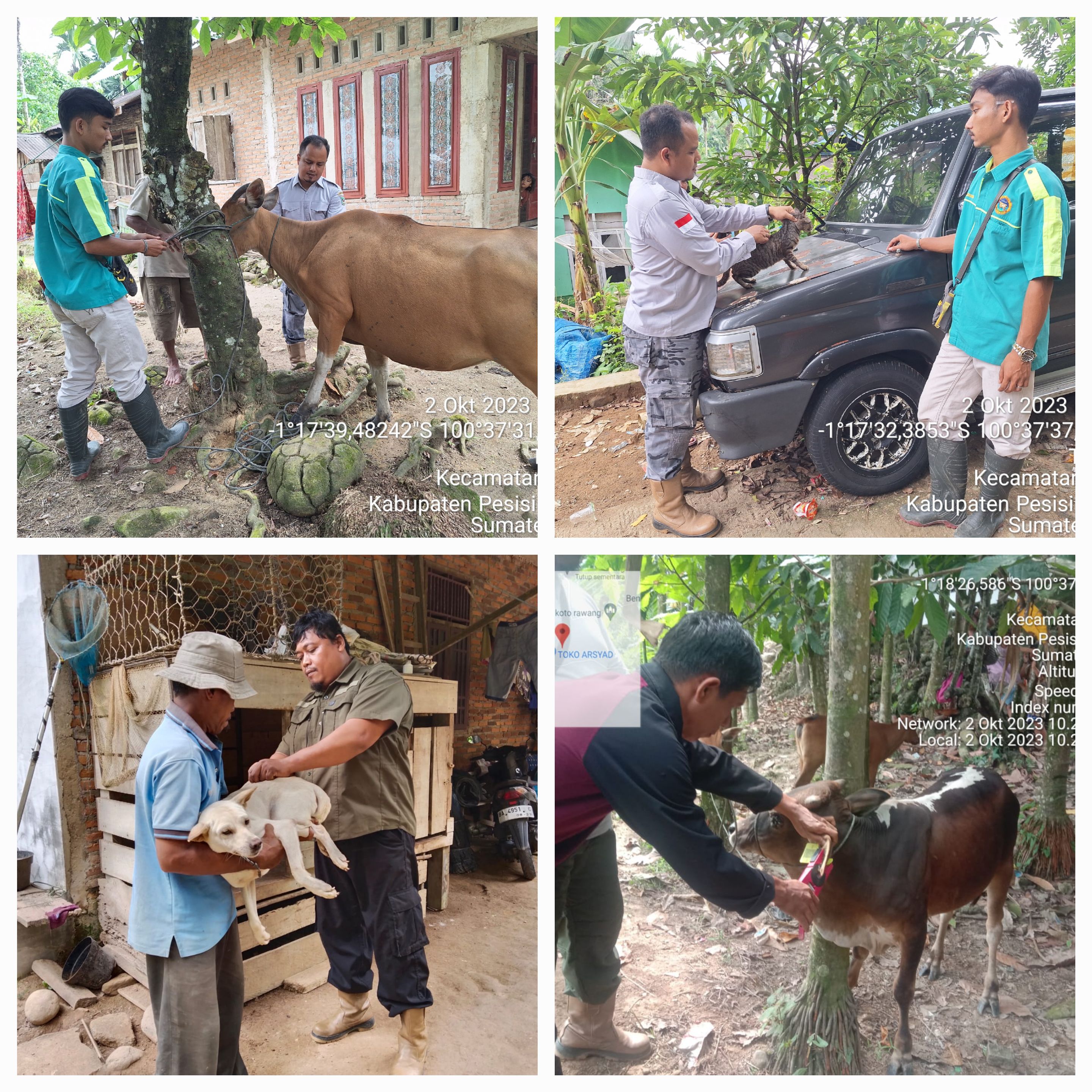 PELAKSANAAN VAKSINASI PMK DAN RABIES DI NAGARI KOTO RAWANG KEC. IV JURAI