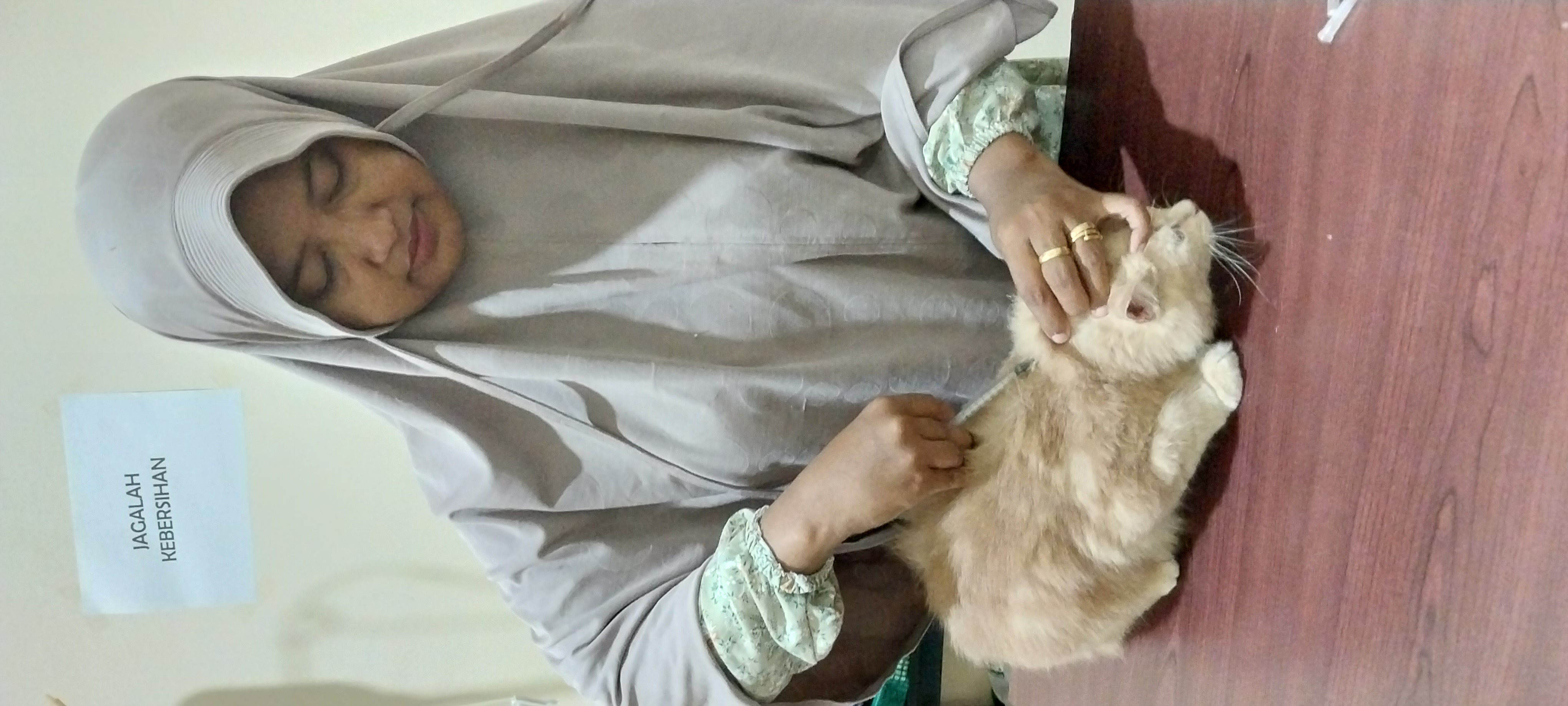 Awas Calcivirus Menginfeksi Anabulmu di Musim Pancaroba