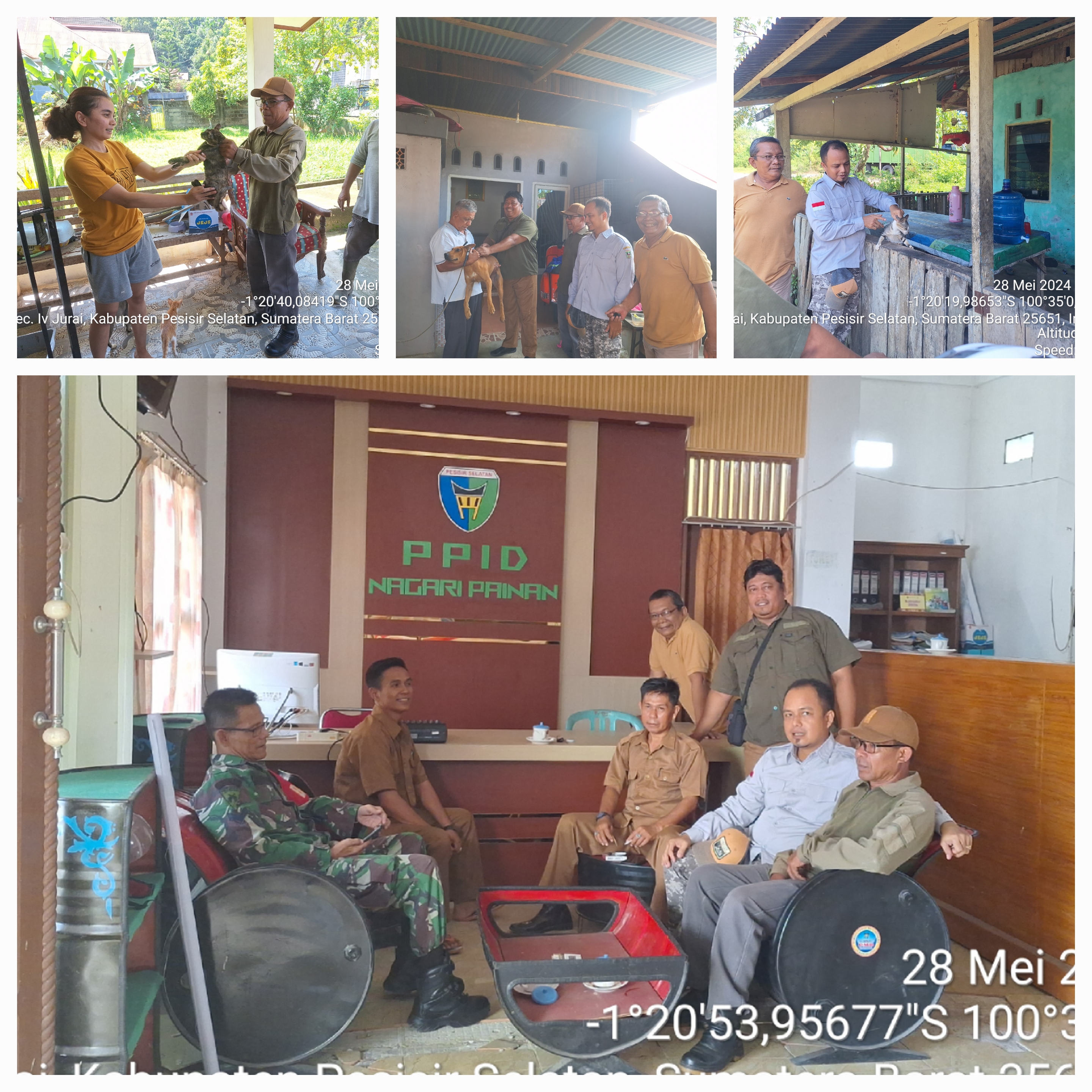 PELAKSANAAN VAKSINASI RABIES DI NAGARI PAINAN KEC. IV JURAI