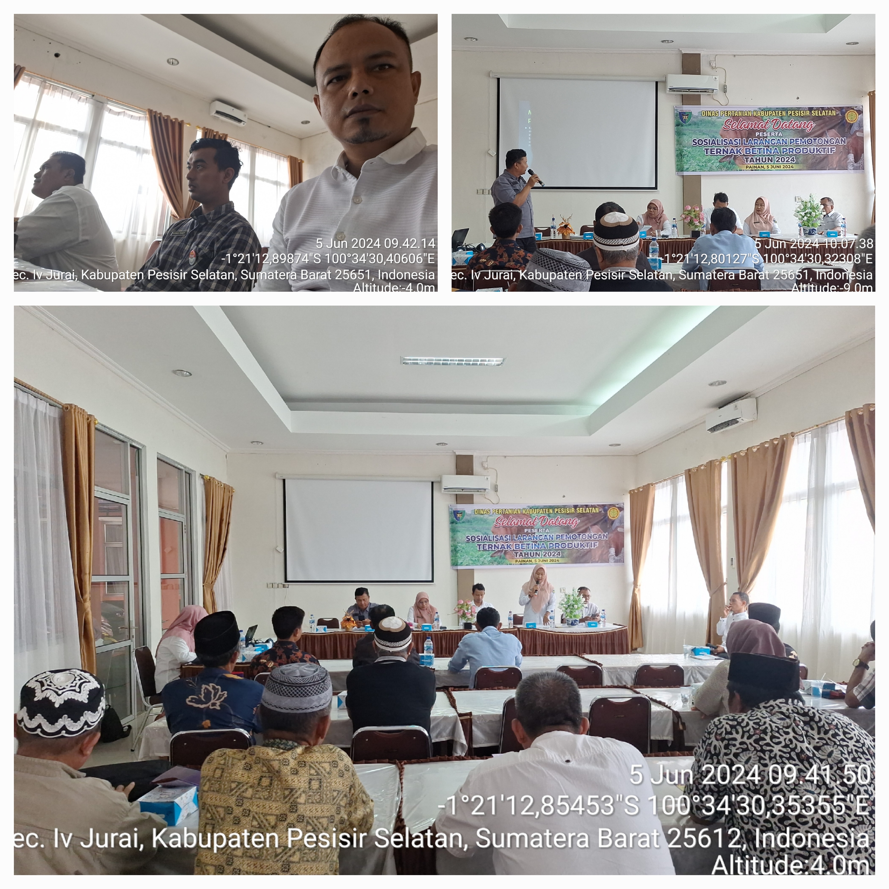 KEPALA PUSKESWAN TERPADU PAINAN MENGIKUTI SOSIALISASI LARANGAN PEMOTONGAN TERNAK BETINA PRODUKTIF