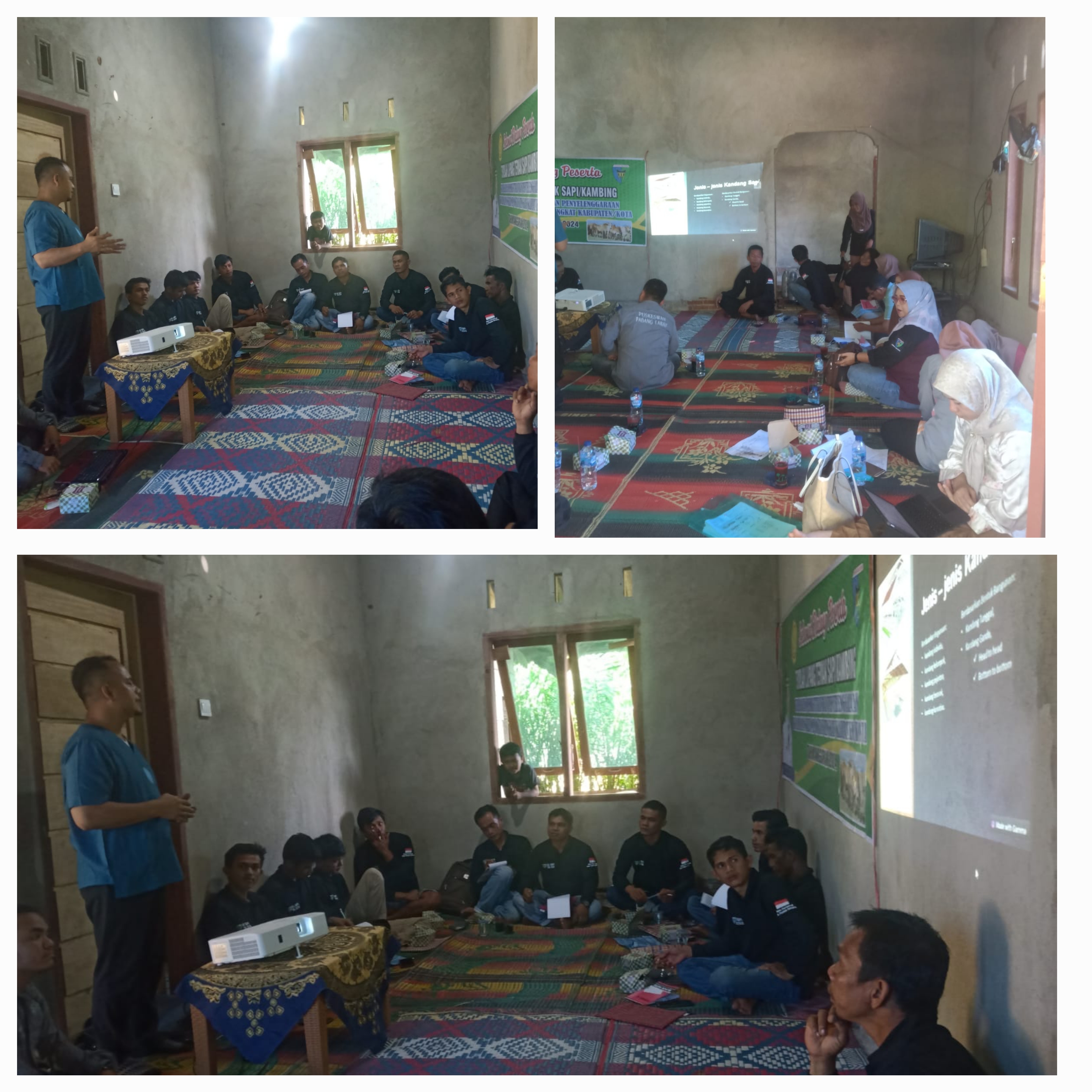 SEKOLAH LAPANG (SL) KOMODITI TERNAK SAPI DI KELOMPOK “SIMPANG TABEK SEJAHTERA” NAGARI PUNGGASAN TIMU