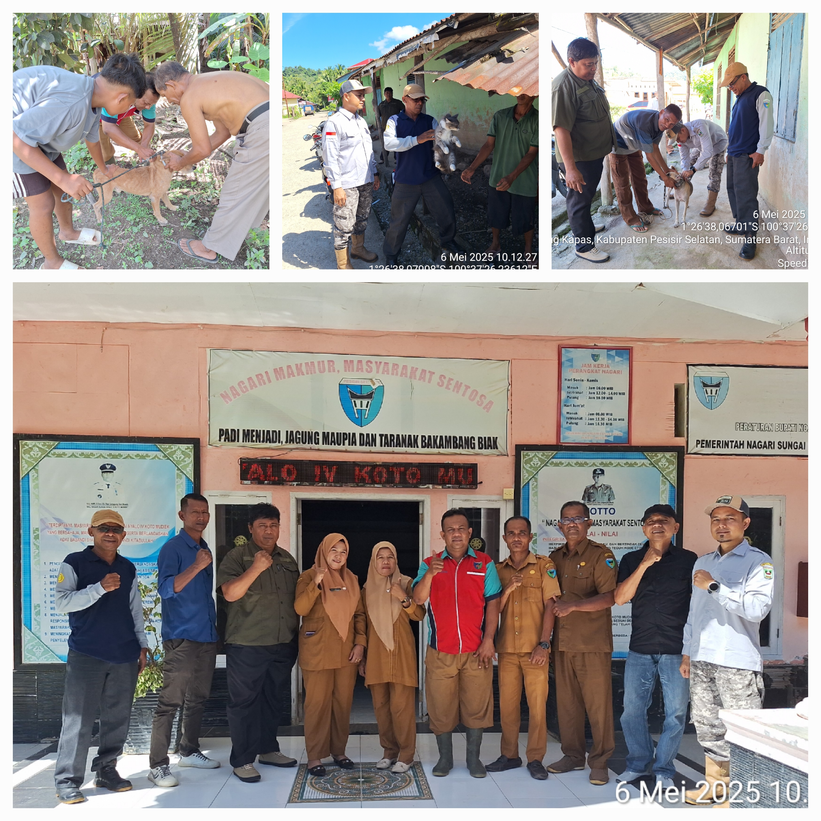 PELAKSANAAN VAKSINASI RABIES DI NAGARI SUNGAI NYALO KEC. BATANG KAPAS