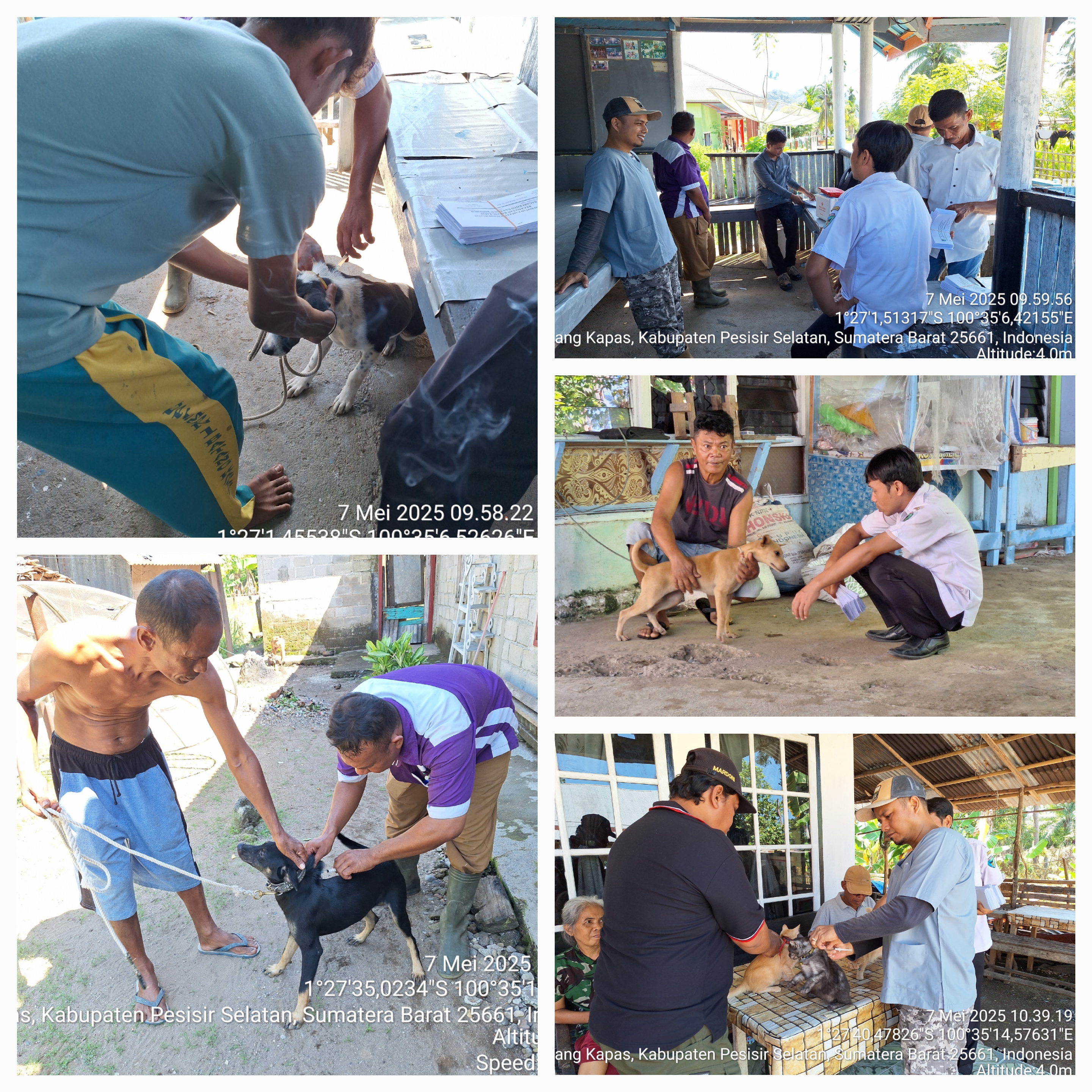 PELAKSANAAN VAKSINASI RABIES DI NAGARI KOTO NAN DUO KEC. BATANG KAPAS
