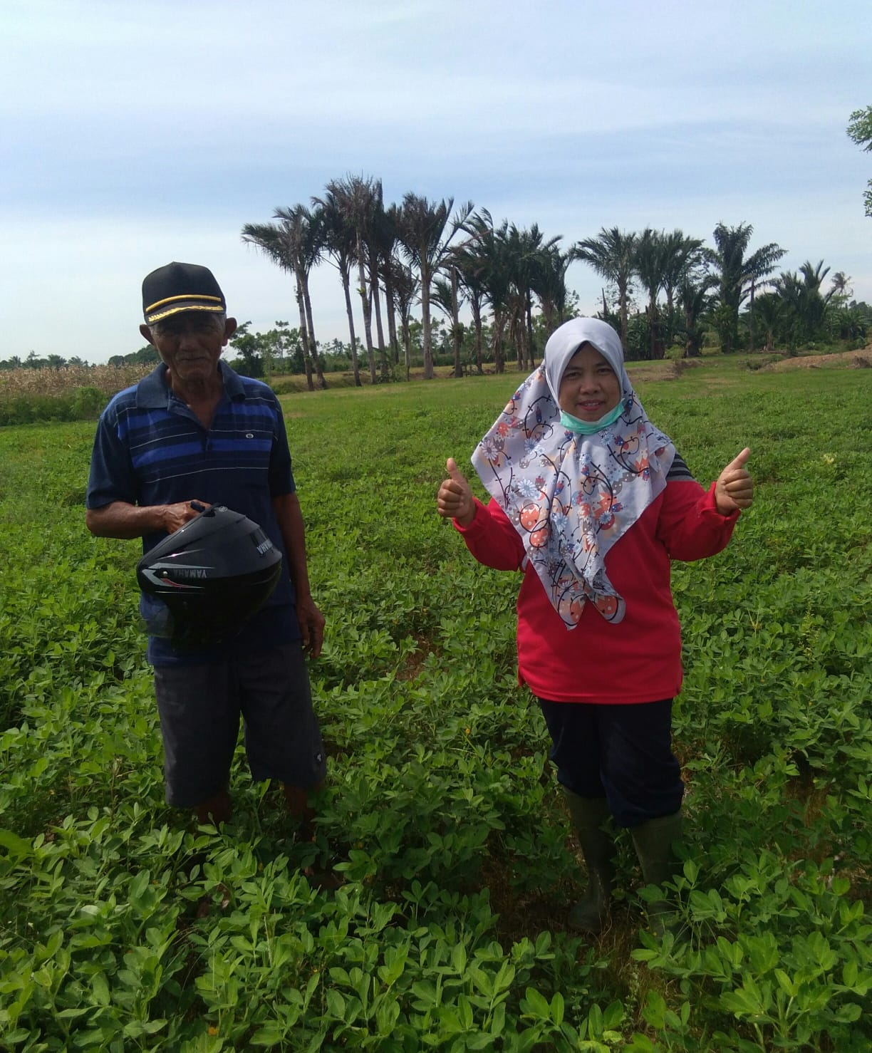 UPAYA PENGENDALIAN ULAT POLONG PADA TANAMAN KACANG 