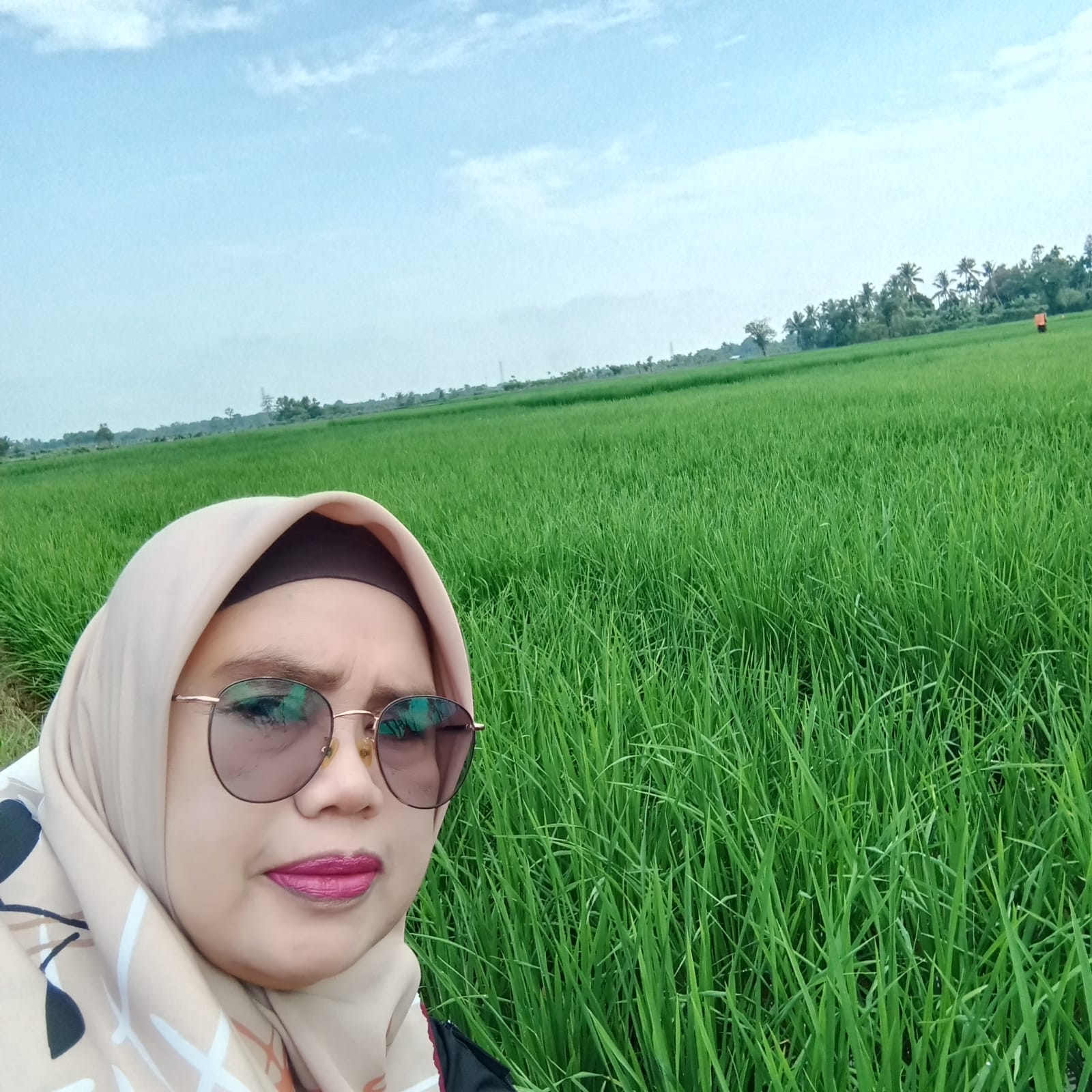  PENGAMATAN TANAMAN PADI SAWAH KELOMPOK BANDAR LAMO 1