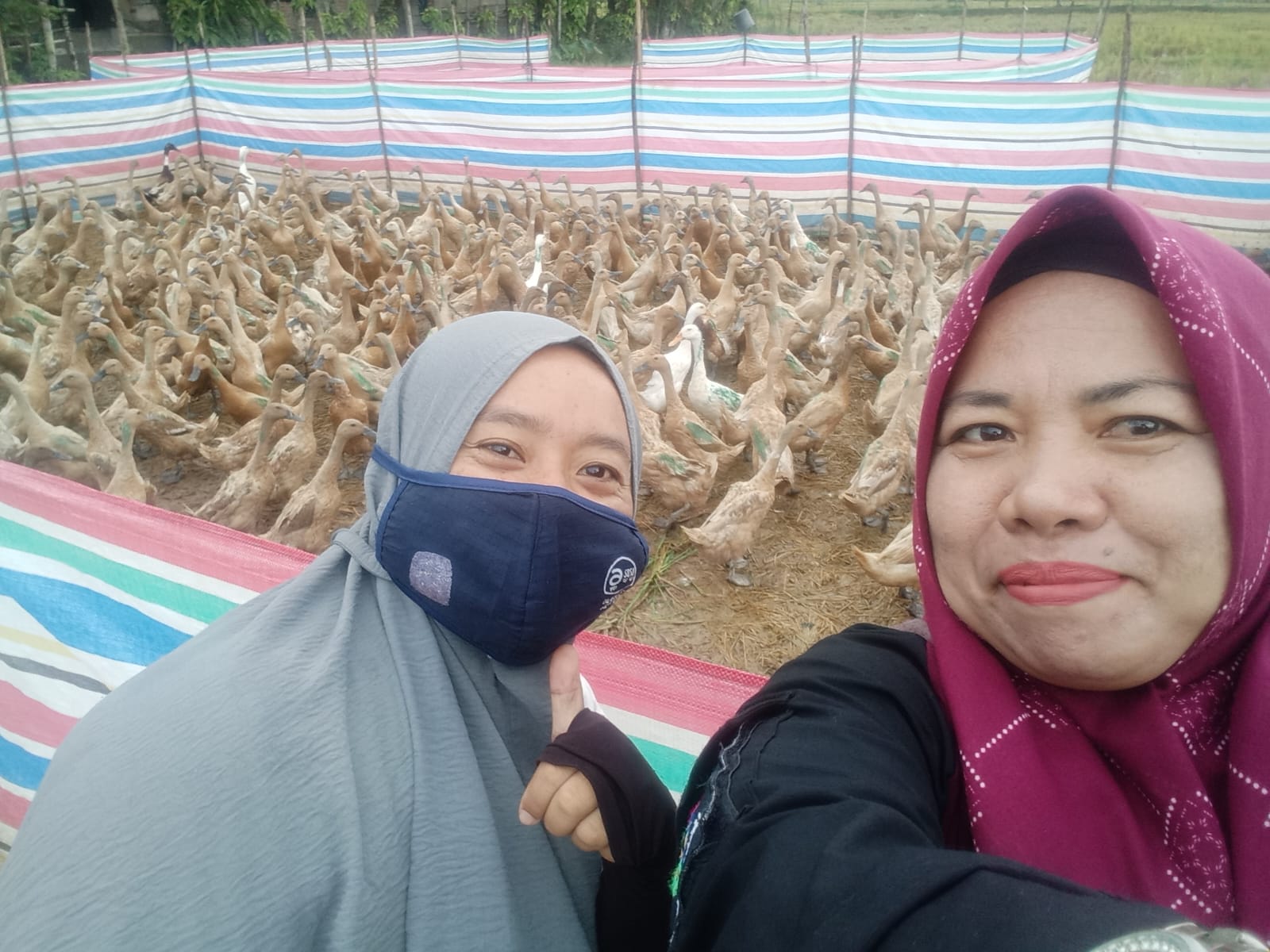 UPAYA PENINGKANAN STANTING DI KECAMATAN RANAH AMPEK HULU TAPAN 