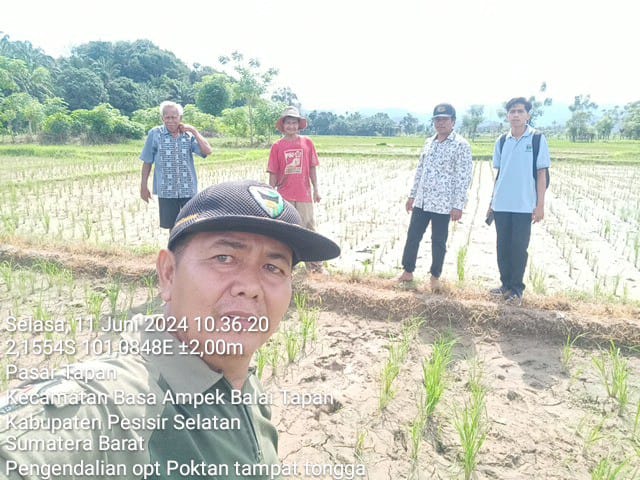 PENGENDALIAN OPT  PADI SAWAH KELOMPOK TANI TAMPAT TONGGA