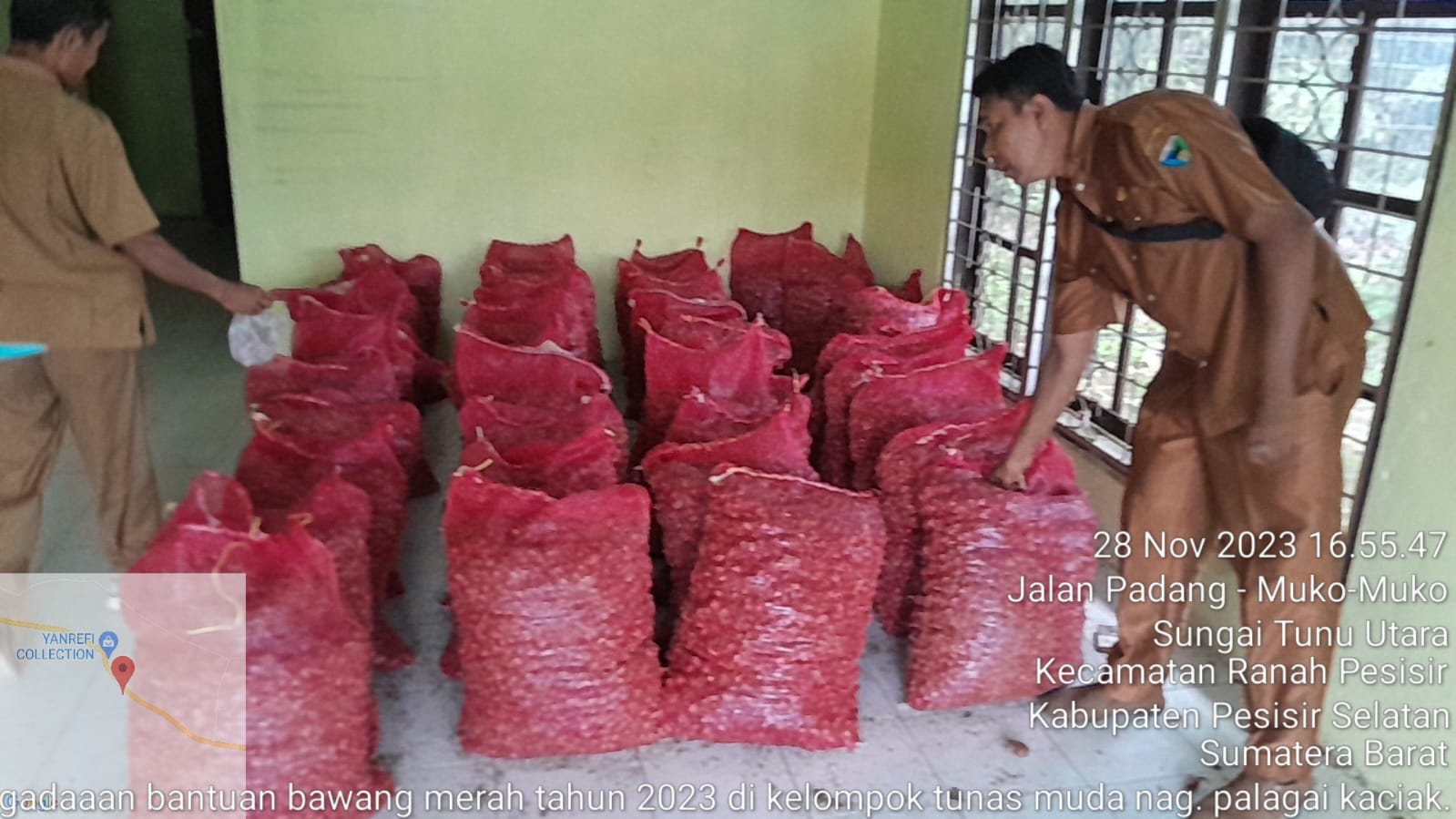 TPH - MONEV MEMBERIKAN BANTUAN BIBIT BAWANG MERAH KE KELTAN TANI BERKAH KEC. RANAH PESISIR