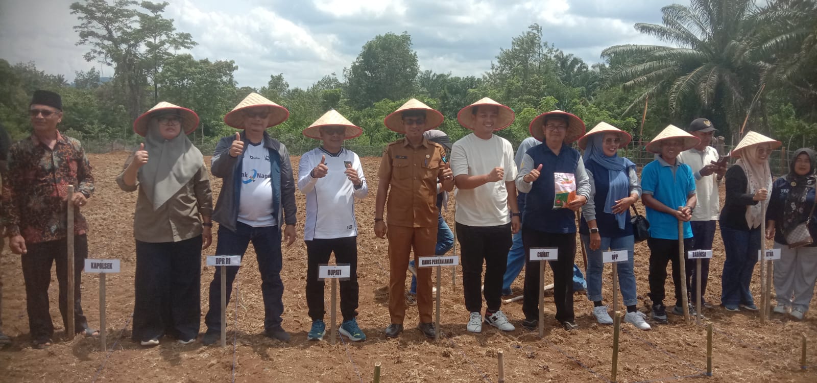 Tanam jagung perdana dalam rangka optimalisasi lahan BPP Kecamatan Ranah Ampek Hulu Tapan