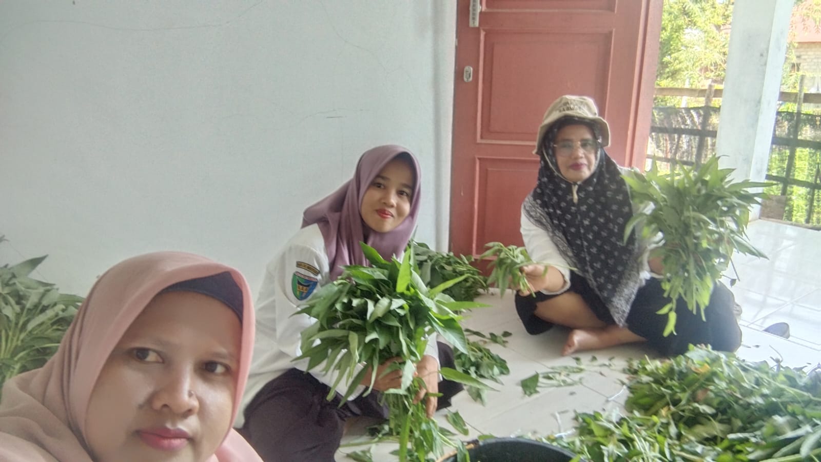 PANEN SAYUR KANGKUNG DI DEMPLOT BPP RANAH AMPEK HULU TAPAN