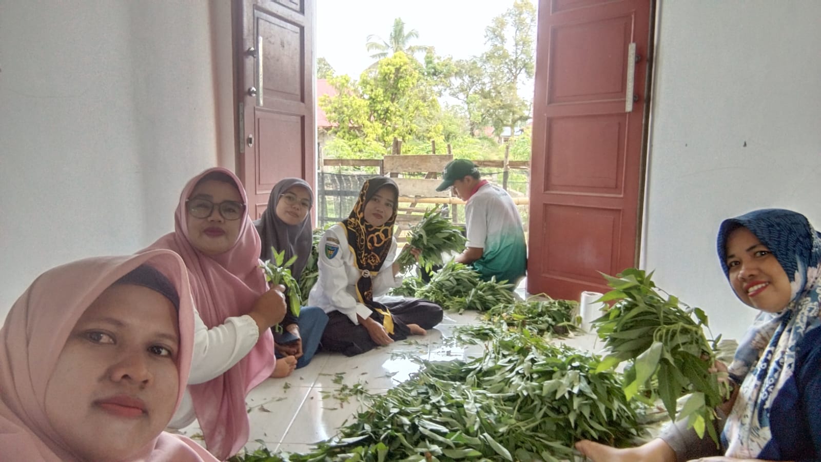 PANEN SAYUR KANGKUNG DI DEMPLOT BPP RANAH AMPEK HULU TAPAN