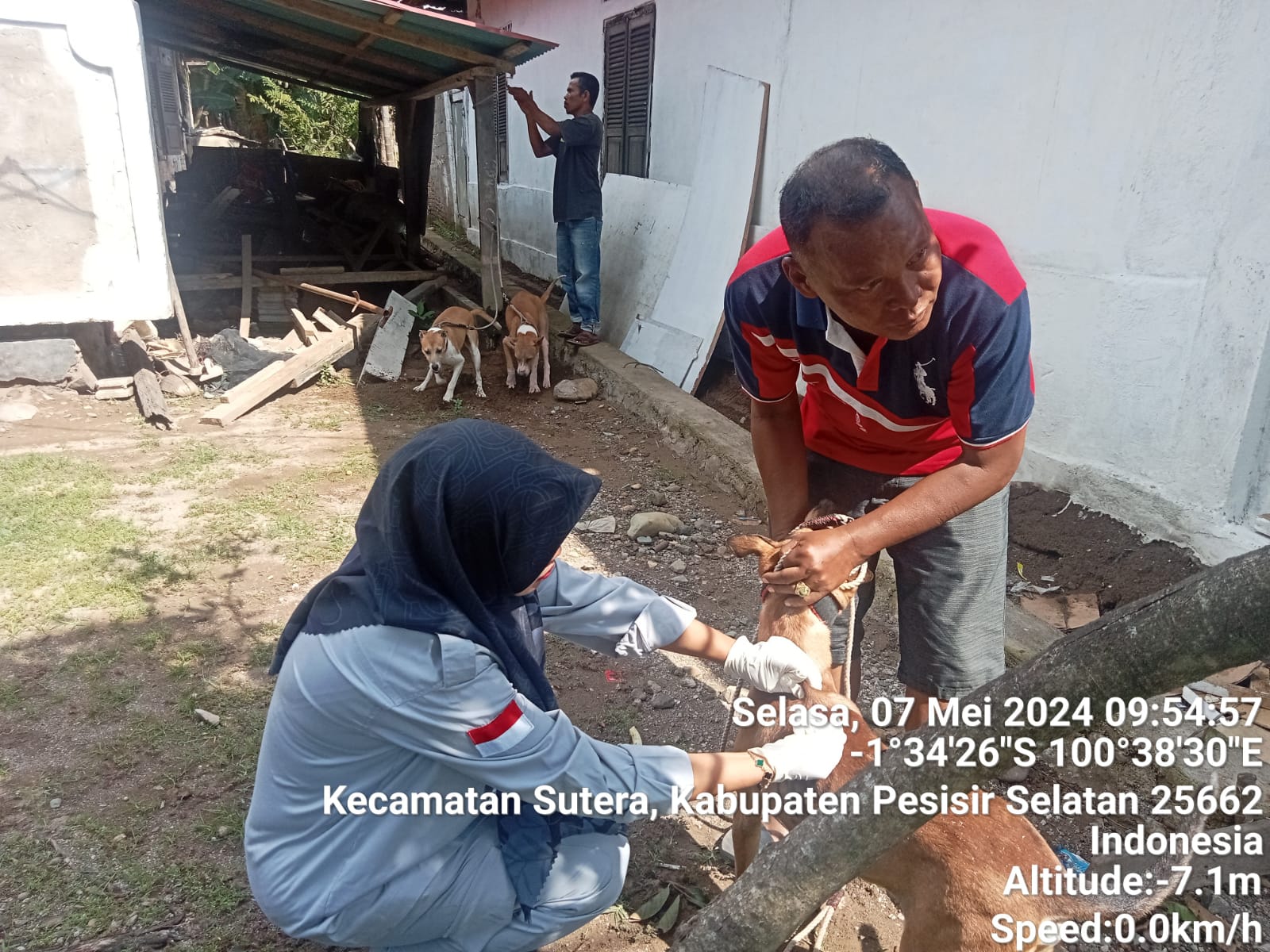 Waspada penyakit rabies