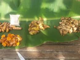 Obat herbal penyakit pada ayam