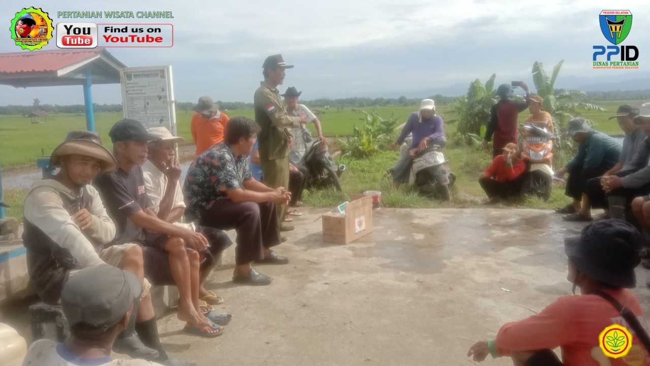 BPP AIRPURA MENGADAKAN PENGENDALIAN ORGANISME PENGANGGU TANAMAN (OPT) 