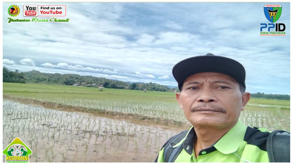 DATA PRODUKSI PADI : KEMITRAAN PENYULUH LINGGO SARI BAGANTI DENGAN MITRA BPS PADA 6 TITIK SEGMEN KSA