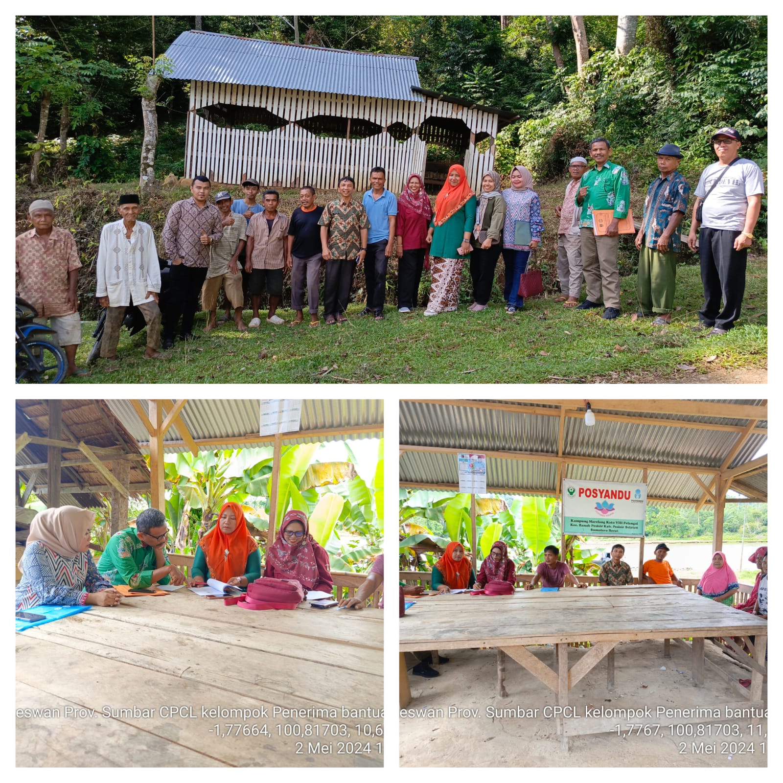 MENDAMPINGI DISNAKKESWAN PROV.SUMBAR CPCL KELOMPOK PENERIMA BANTUAN ITIK DI KEC.RANAH PESISIR