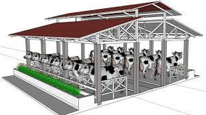 Jenis-jenis kandang sapi