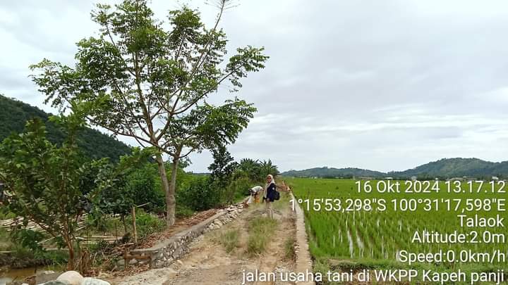 JALAN USAHA TANI DI KELOMPOK KARAKEK INDAH WKPP KAPEH PANJI JAYA TALAOK KEC . BAYANG