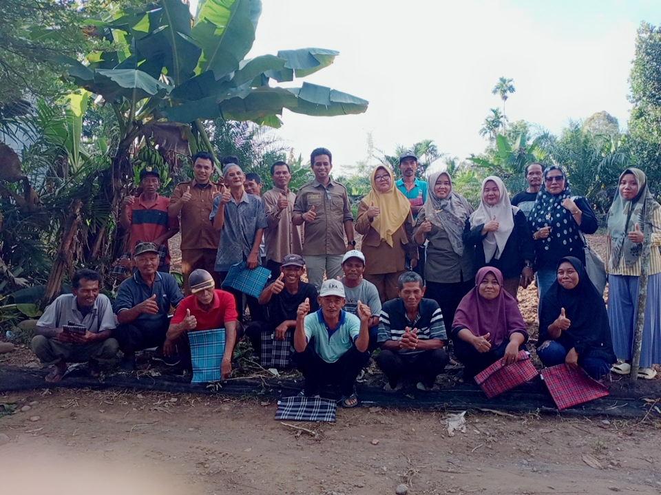 SL-PHT Tanaman Cabe di POKTAN Karya Makmur