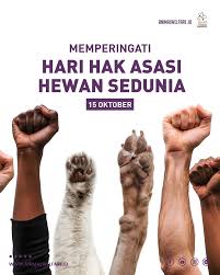 15 Oktober: Hari Hak Asasi Hewan Sedunia. Apa Kewajiban Kita di Pesisir Selatan?