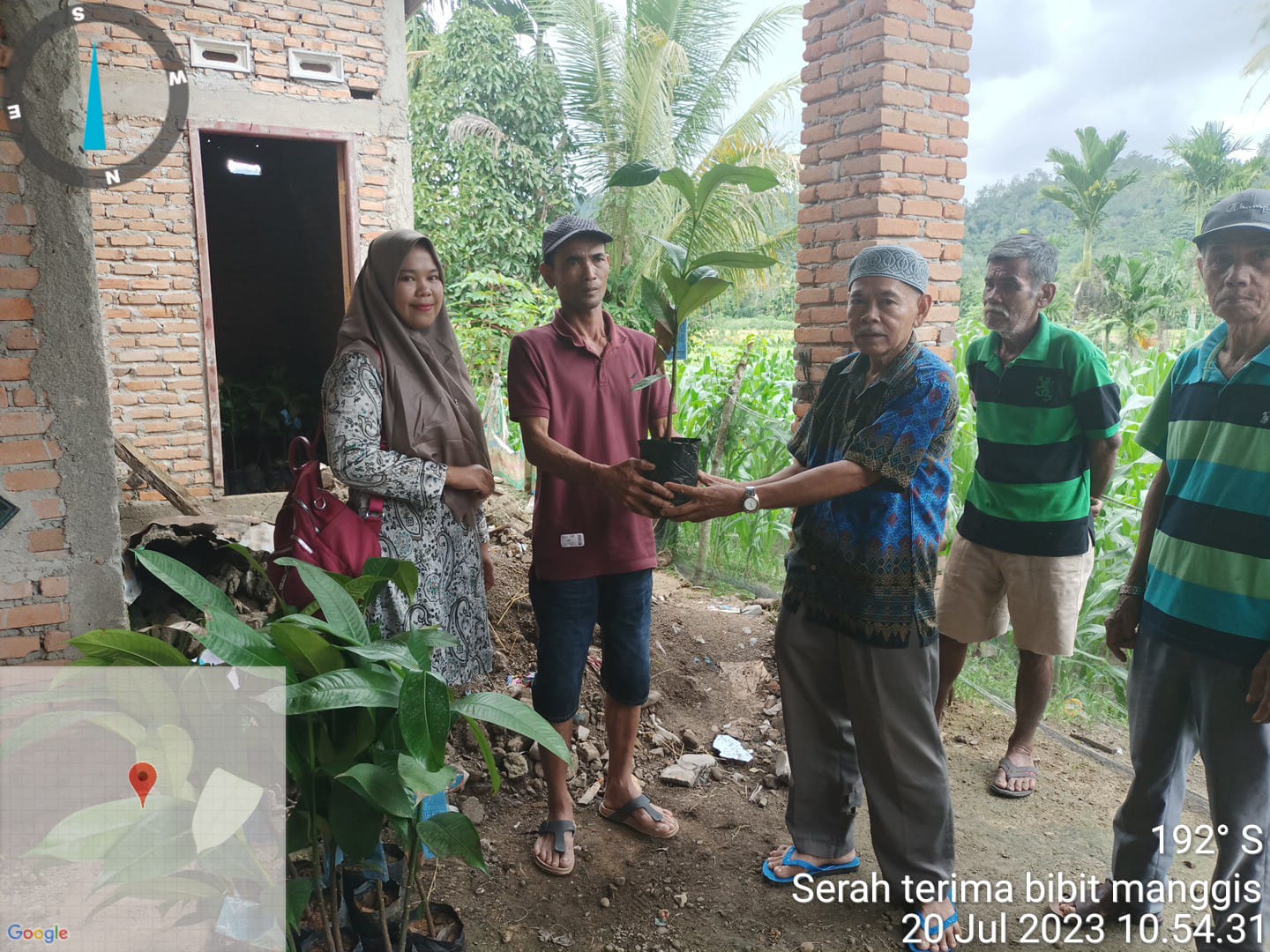 PEMBAGIAN BIBIT MANGGIS DI KELOMPOK TANI PULAU AIR NAGARI TUIK 