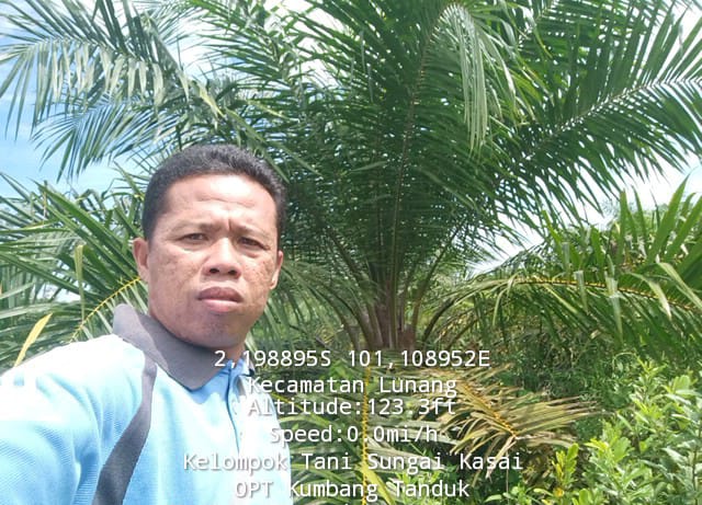 Identifikasi Organisme Pengganggu Tanaman (OPT) Pada Tanaman Kelapa Sawit