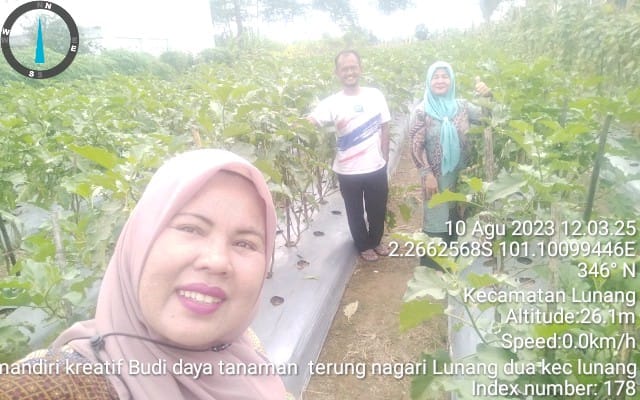 Budidaya Tanaman Hortikultura