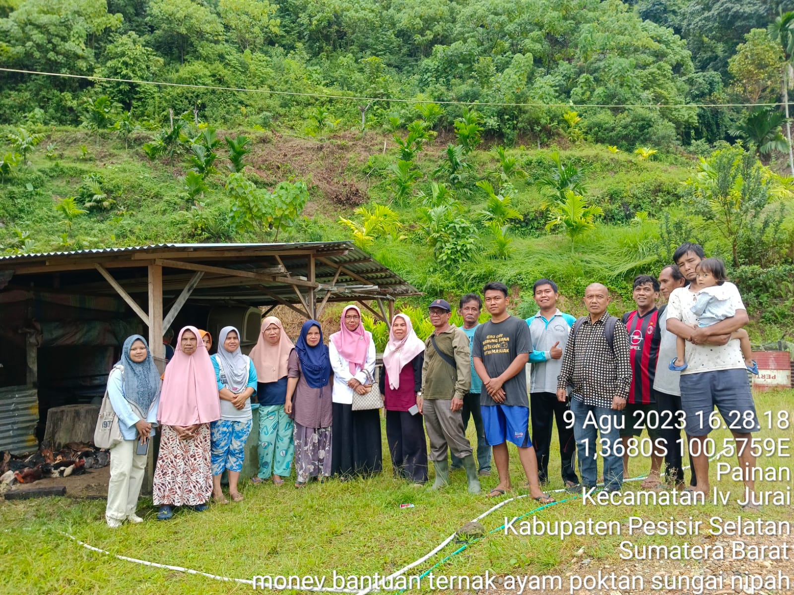 PEMBAGIAN BIBIT AYAM DI KELOMPOK TANI SUNGAI NIPAH