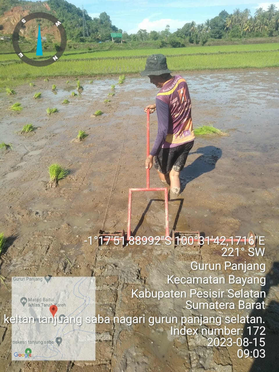 Penanaman Jarwo 2:1 di Keltan Tanjung Saba