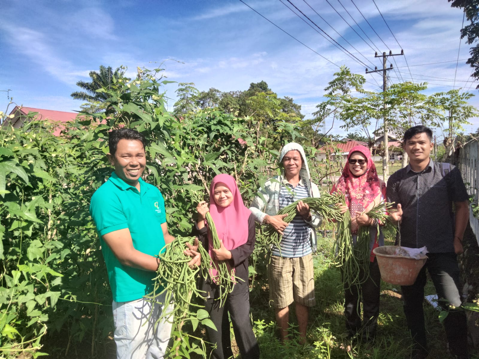 Kegiatan Panen Sayur Demplot Pekarangan BPP Kecamatan Ranah Pesisir