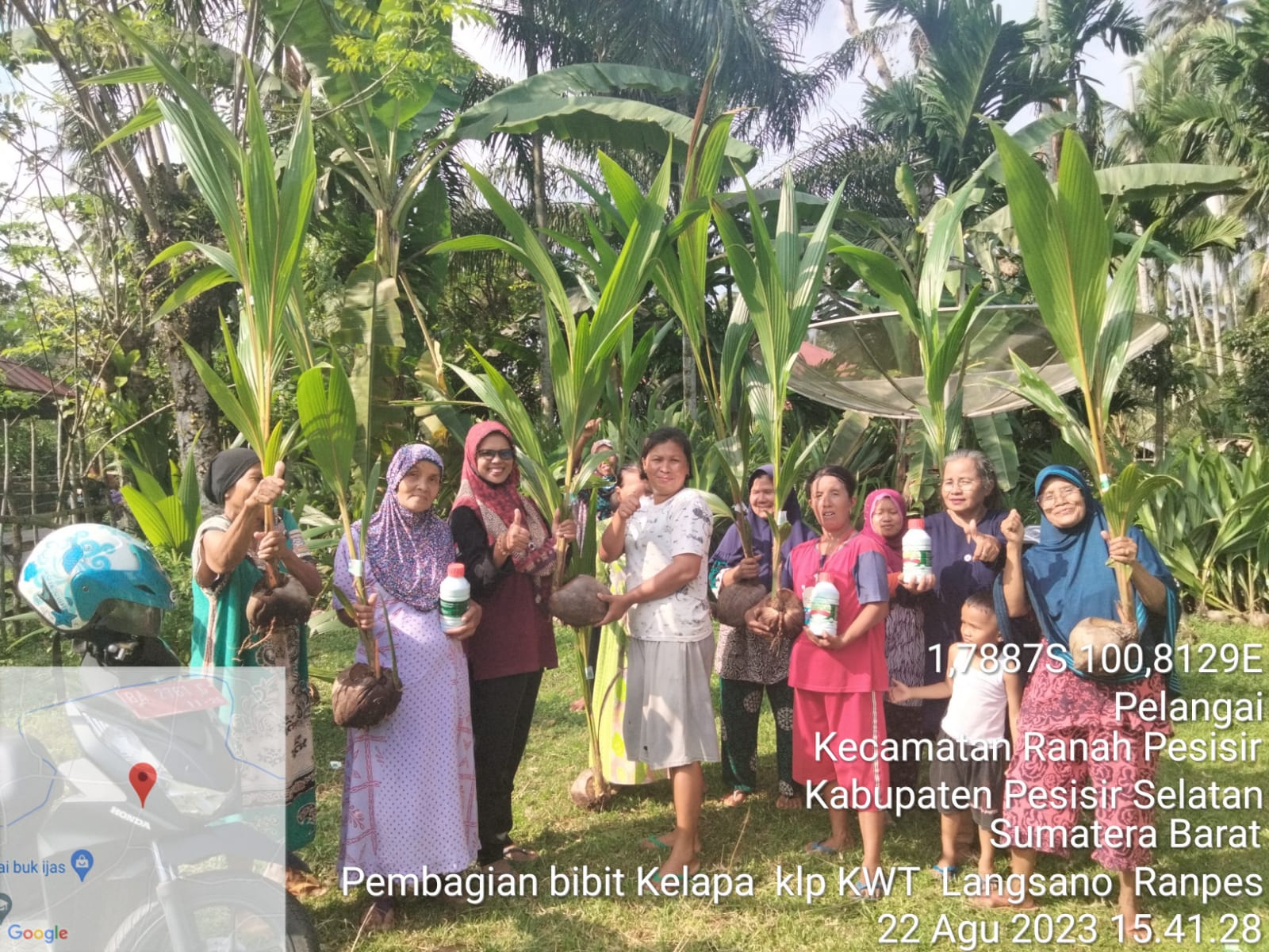 Pembagian Bantuan Bibit Kelapa dan Pupuk Tanaman Kelapa pada KWT Langsano Nagari Koto VIII Pelangai
