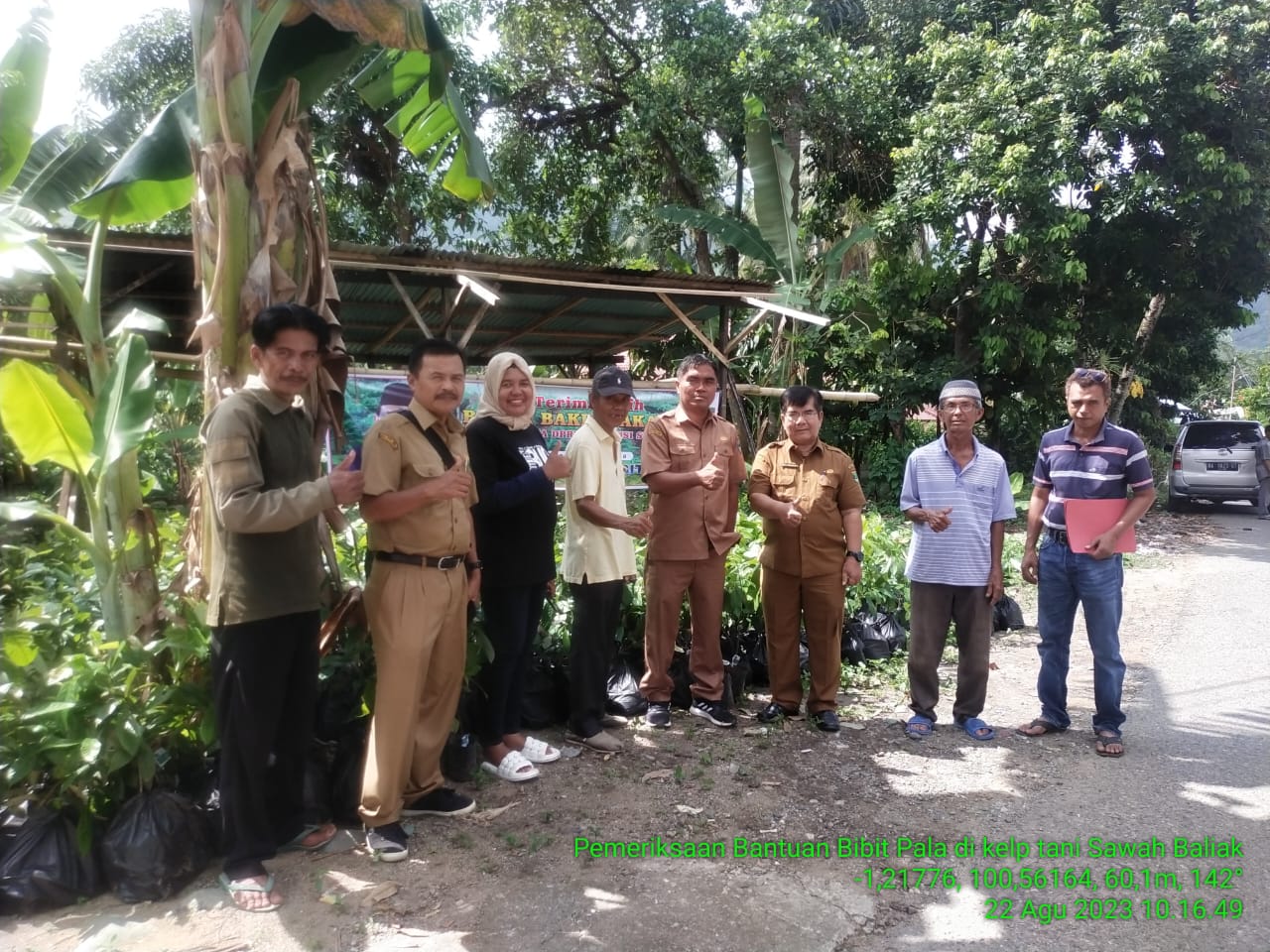Pemeriksaan bantuan bibit pala oleh Disbuntahor Provinsi di Poktan Sawah Baliak