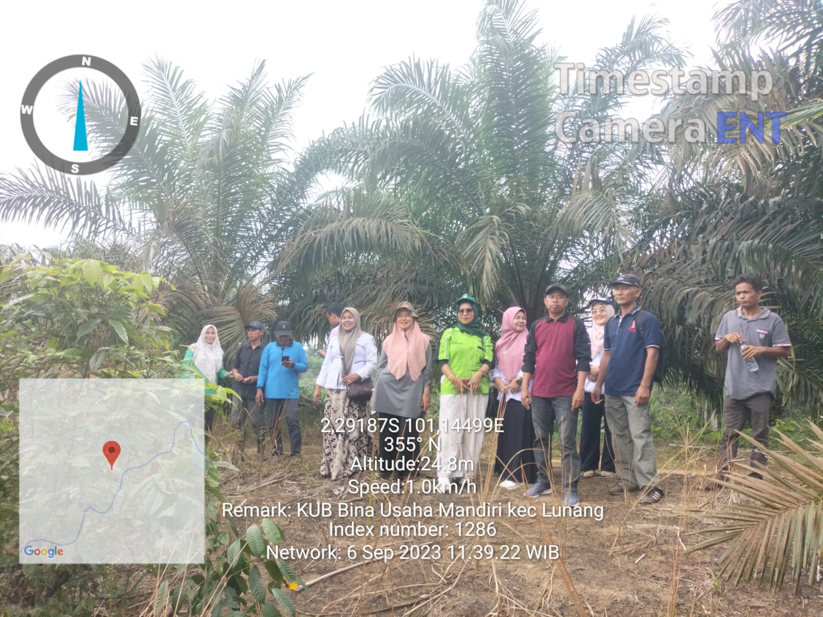 Pendampingan dan Verifikasi Koperasi Melaksanakan Kegiatan Peremajaan Sawit Rakyat (PSR) 