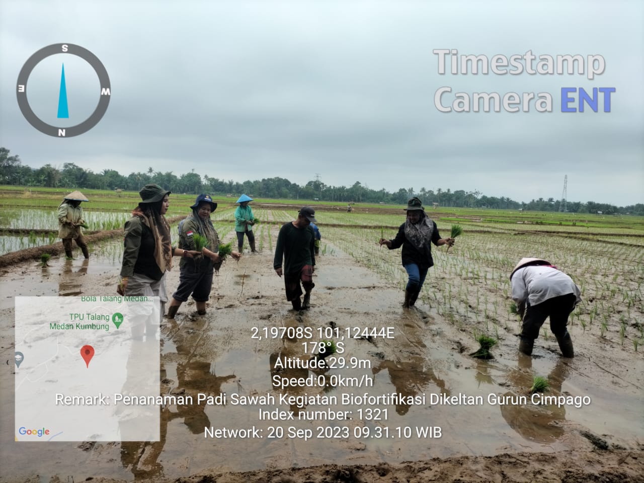 Demonstrasi Cara Tanam Padi Sawah dengan Sistem Jajar Legowo