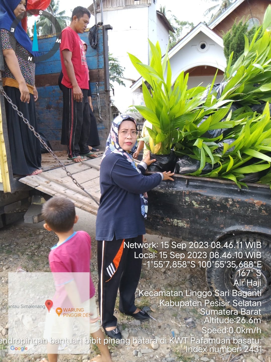 PENDROPINGAN BANTUAN BIBIT PINANG BATARA DI KWT PATAMUAN BERSATU NAGARI RANTAU SIMALENANG AIR HAJI