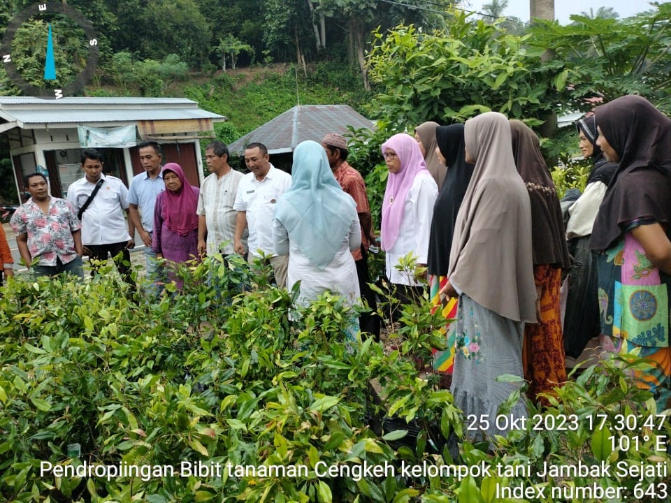 Penyerahan Bantuan Bibit Cengkeh 2 Poktan di Nagari Sungai Tunu, Kecamatan Ranah Pesisir