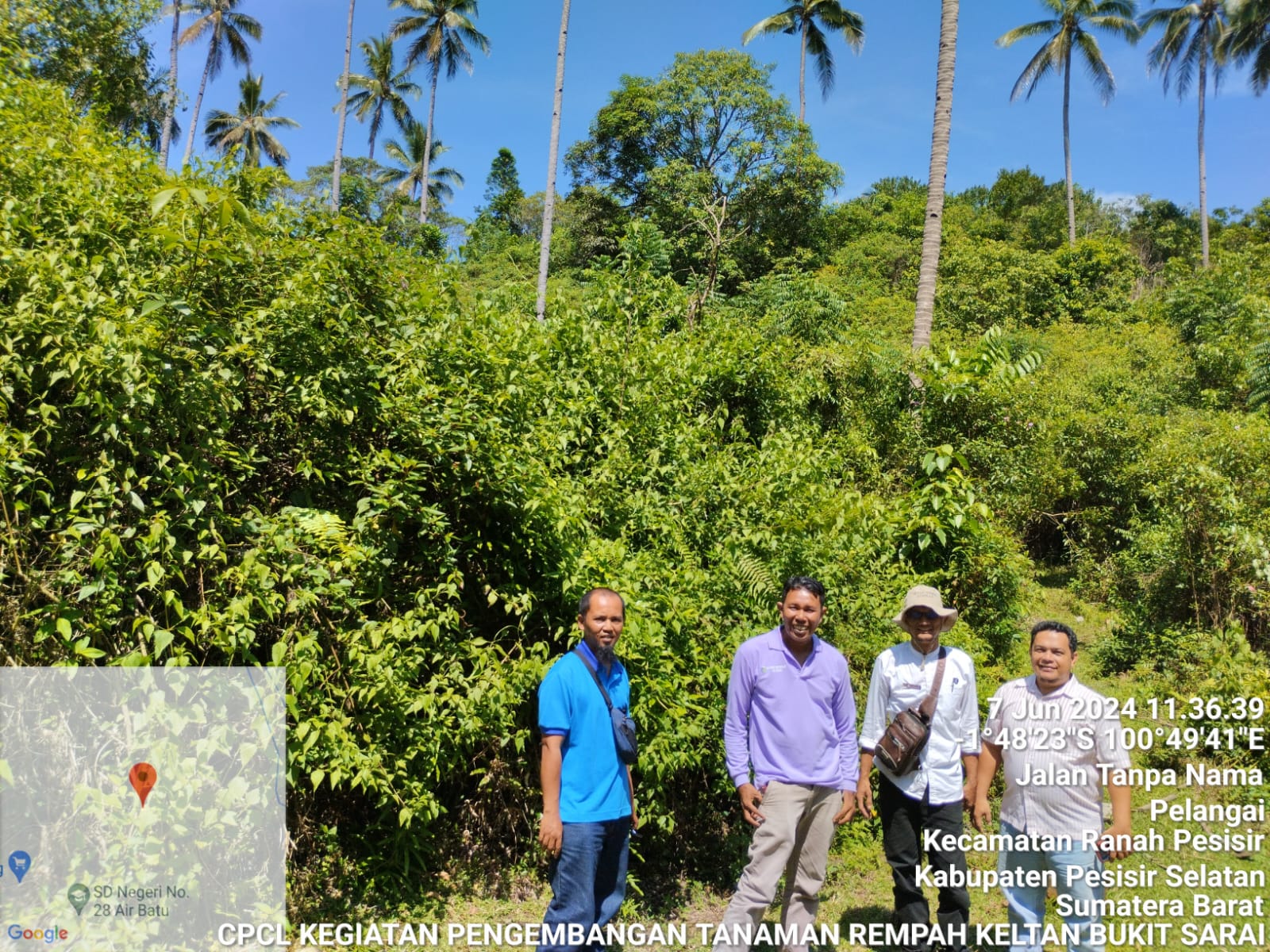 CPCL BANTUAN BIBIT CENGKEH DI POKTAN BUKIT SARAI