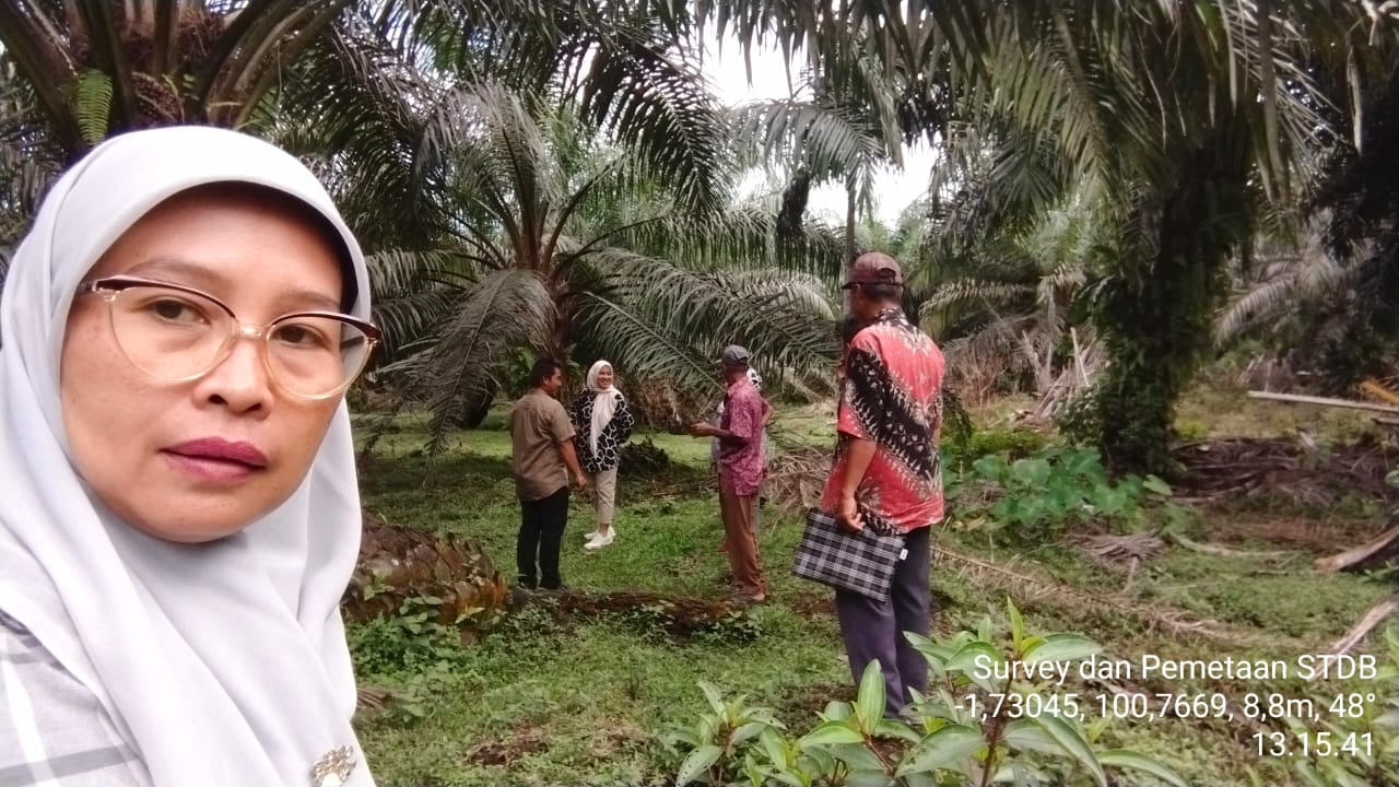 Pendataan Kegiatan STD-B Kelapa Sawit Kecamatan Lengayang