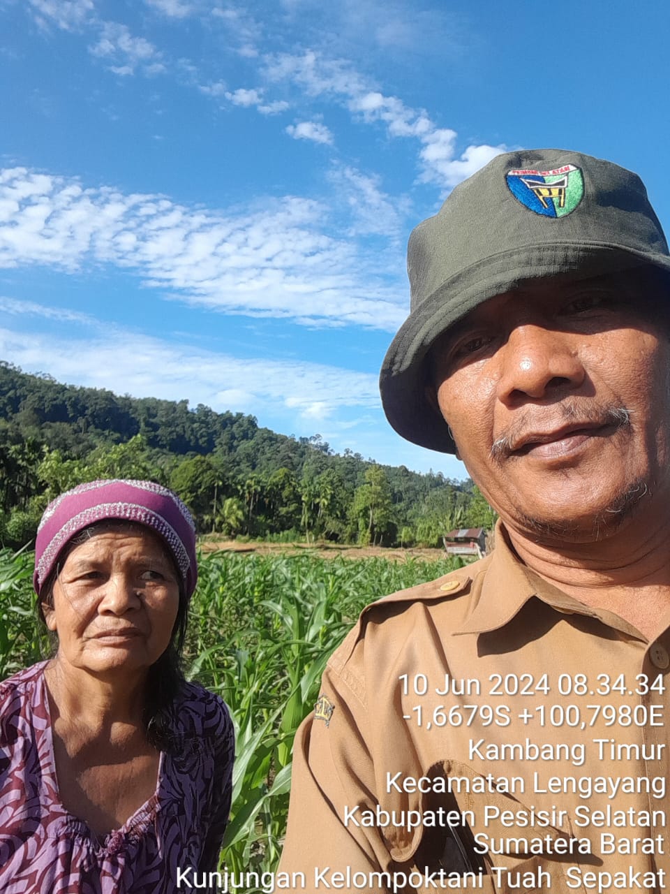 Pengendalian hama ulat grayak pada tanaman jagung