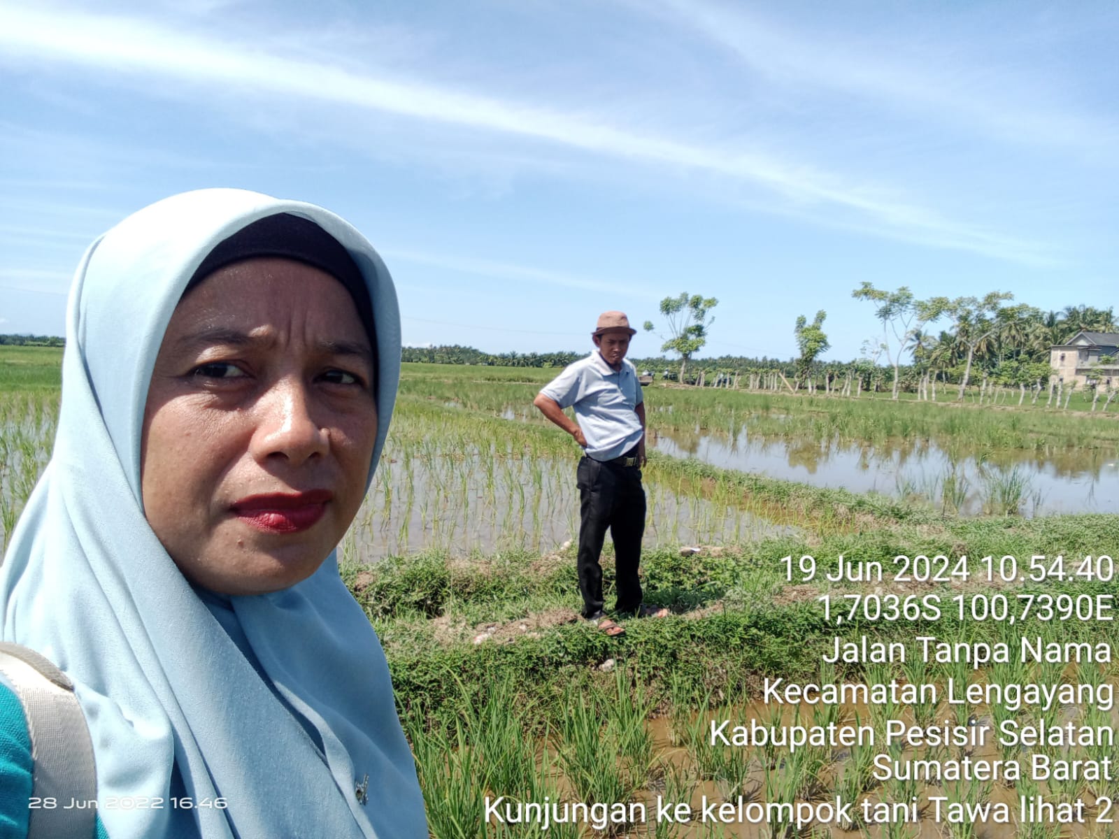 Serangan Hama Wereng  DiHamparan Kelompok Tani Talawi 2