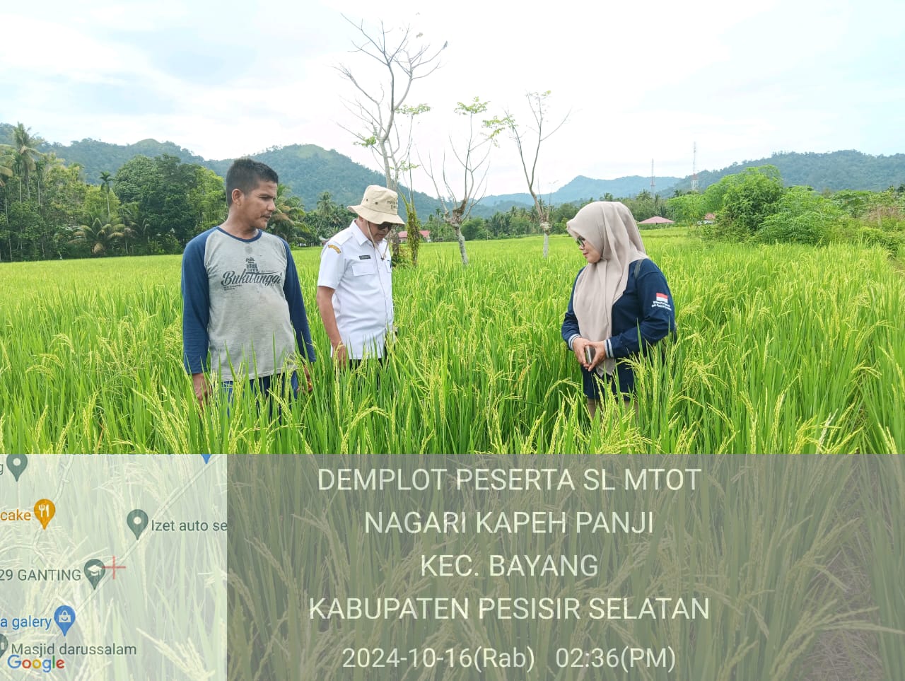 Kabid Penyuluhan Kabupaten Pesisir Selatan MARDONI , SE.MSi  Monev  Kegiatan  SL M-TOT Udara Bersih 