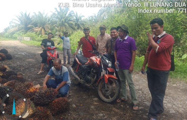 Pemetaan dan Pendataan Petani Sawit dalam Rangka Membantu Petani Mendapatkan STDB