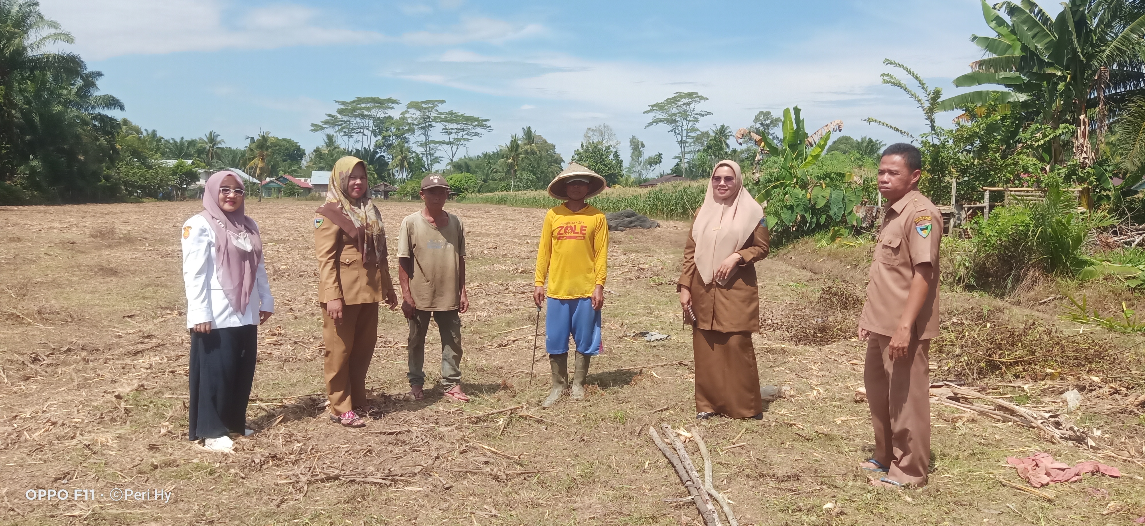 Persiapan Lahan dan Pola Penanaman Jagung