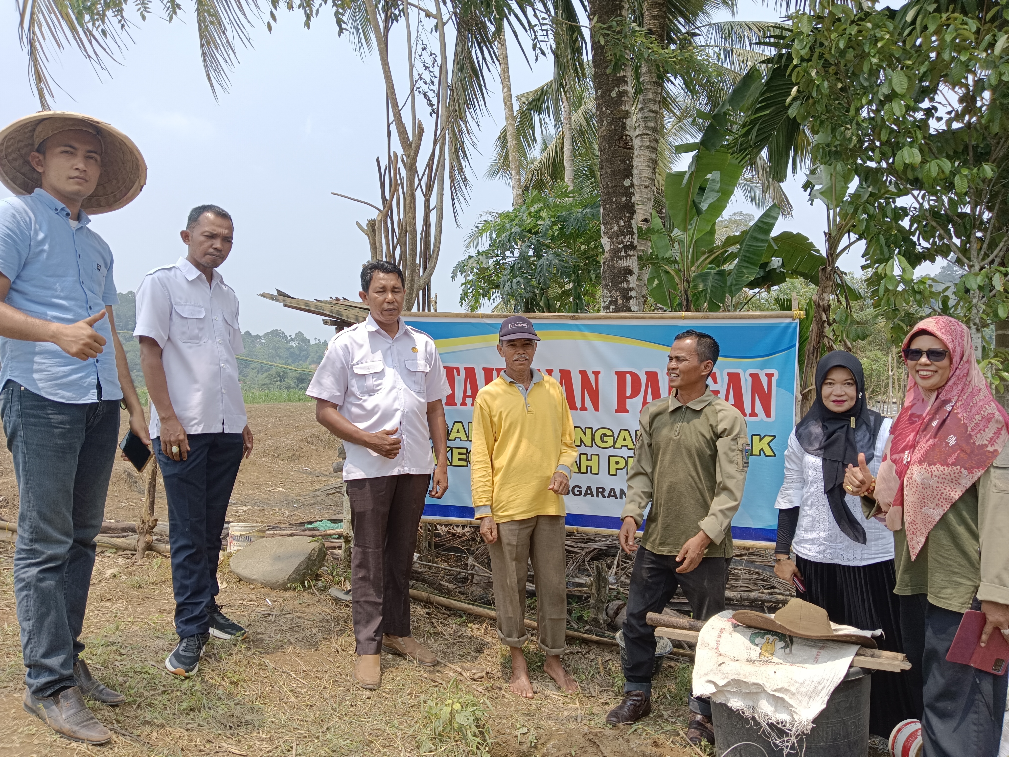Penanaman Bawang Merah Program Ketahanan Pangan Nagari Pelangai Kaciak
