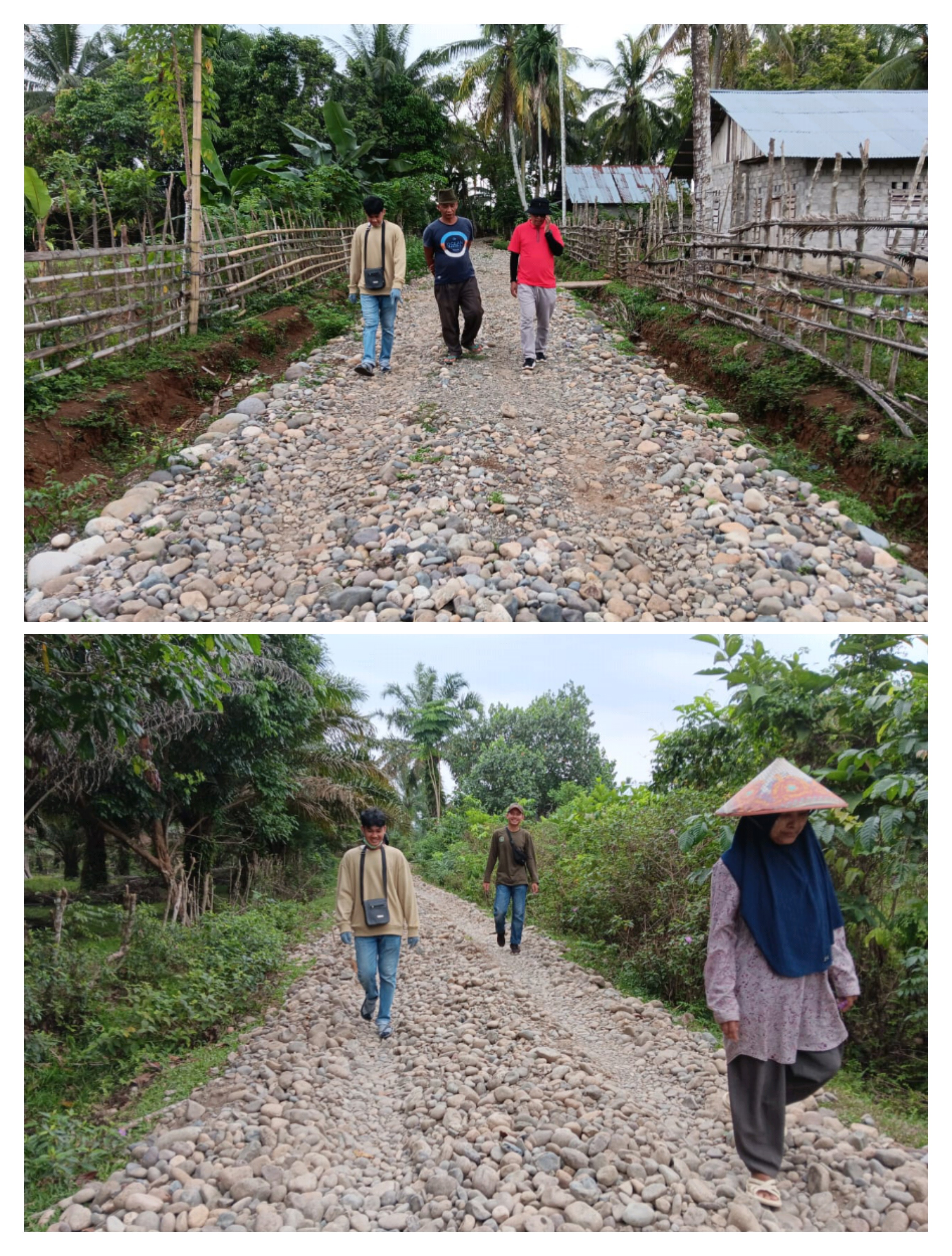 JALAN PRODUKSI PERTANIAN KWT MURNI TELAH MENCAPAI 85% DAN AKAN SEGERA DIMANFAATKAN OLEH MASYARAKAT